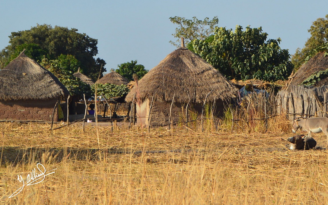 Senegal